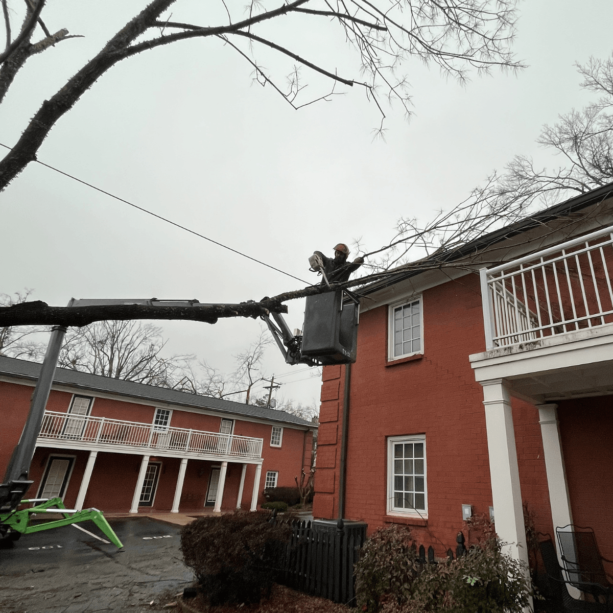 timbr-wolf-tree-service-equipment-russell-county-al