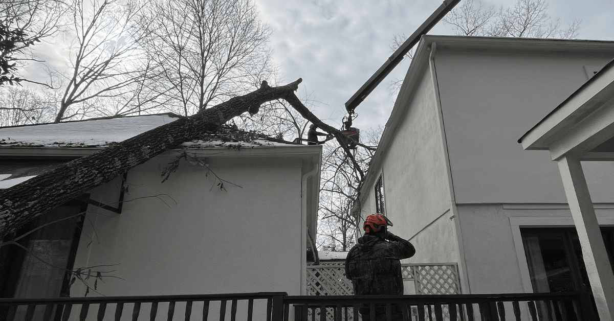 24/7 Emergency Tree Service in Columbus and Harris County, GA