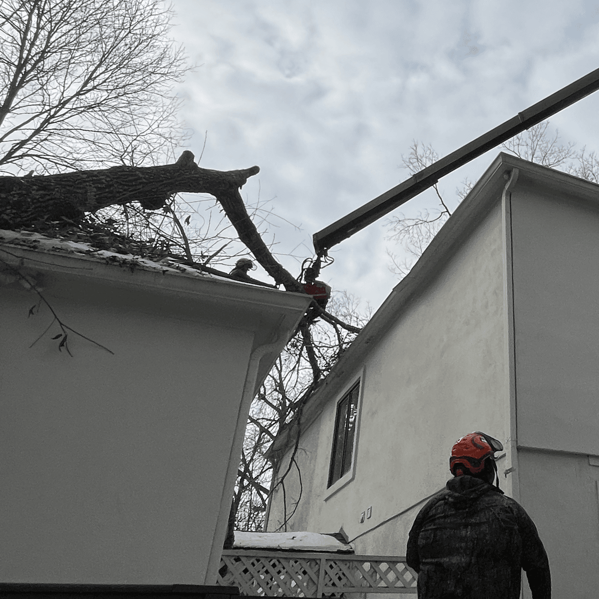 emergency-storm-damage-tree-cleanup-muscogee-county