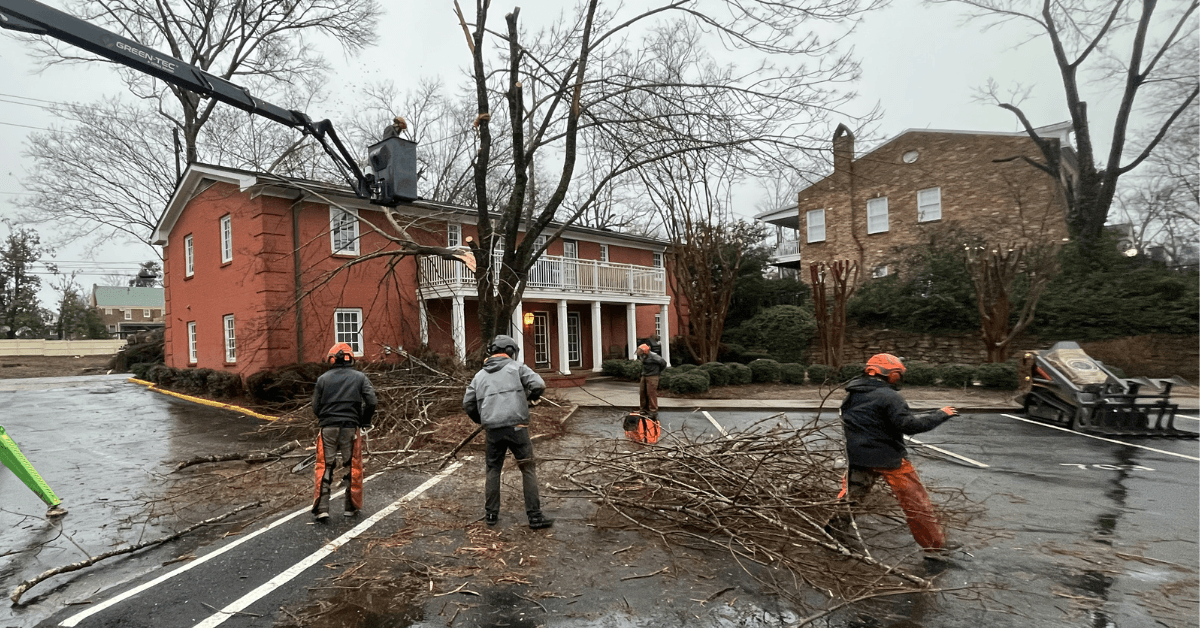 Tree Services in Lee County AL