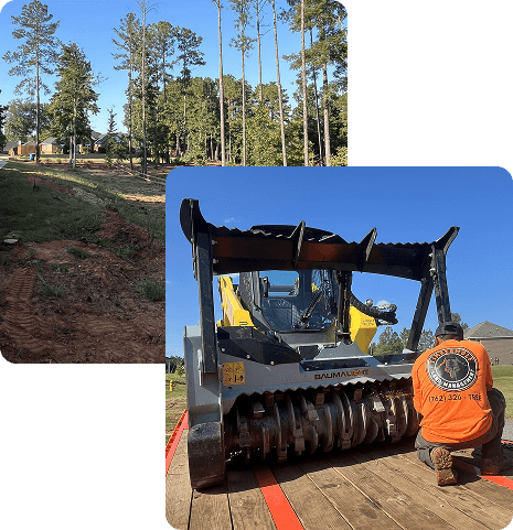 Veteran-Led Tree Service and Land Management in Columbus