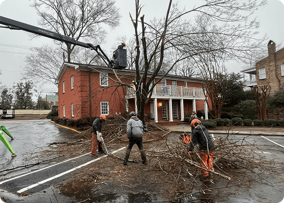 Work With a Team That Treats Your Property Seriously