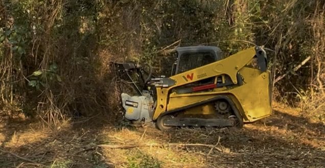 Forestry Mulching in Harris County