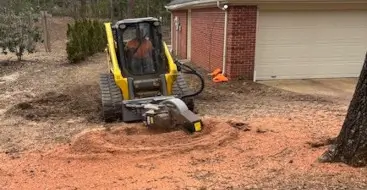 Stump Grinding