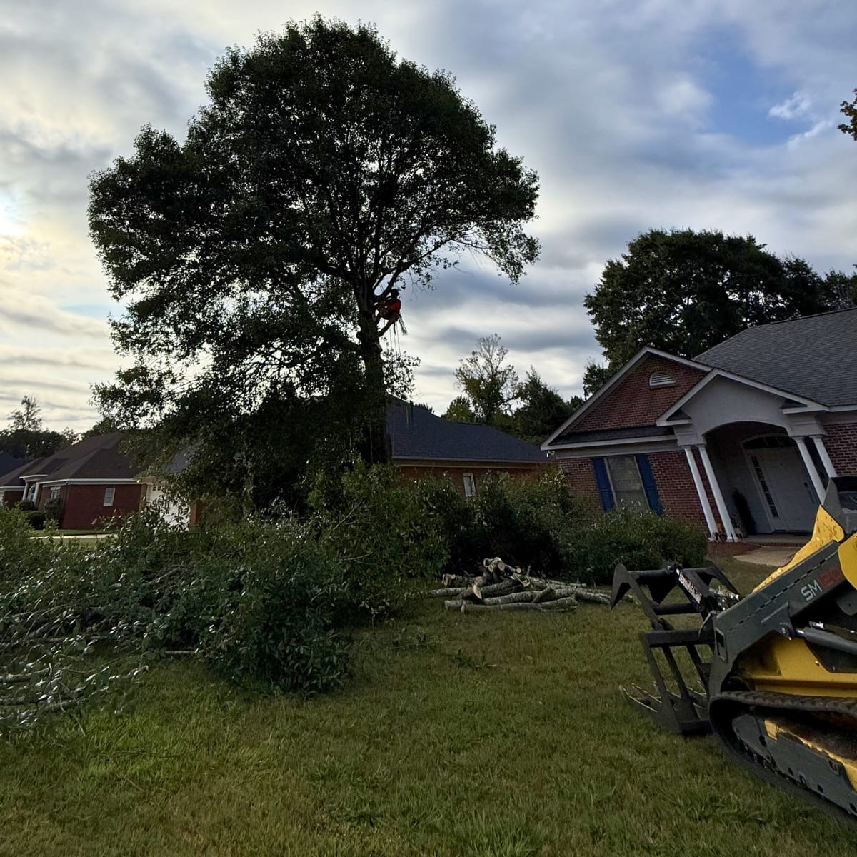 shrub removal