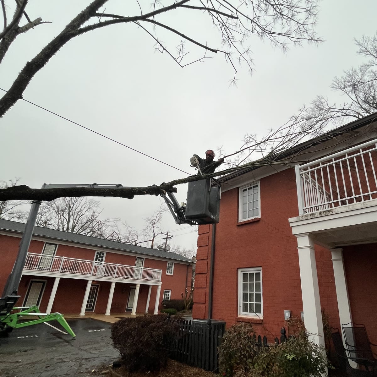 timbr-wolf-tree-service-equipment-russell-county-al