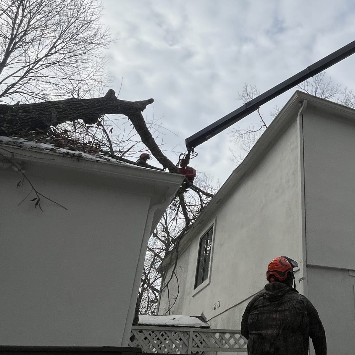 emergency-storm-damage-tree-cleanup-muscogee-county