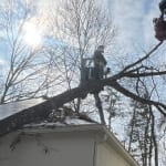 Emergency Tree Service & Storm Damage Repair