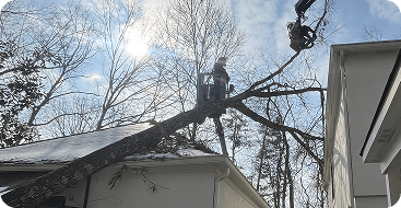 Emergency Tree Service & Storm Damage Repair