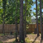 save your trees