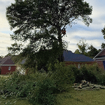 tree pruning
