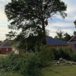 tree pruning