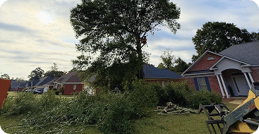 tree pruning