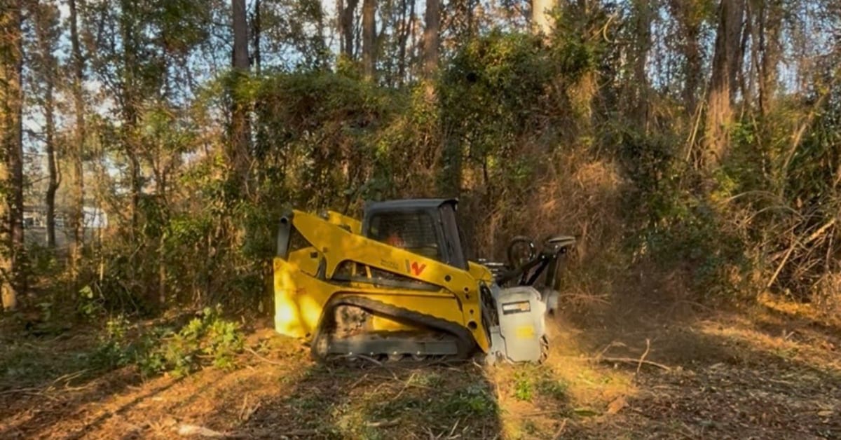 forestry mulching