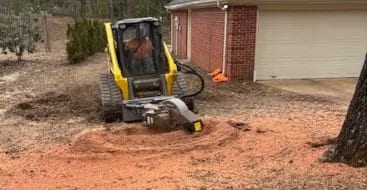 Stump Grinding